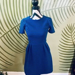 Madewell Gallerist Blue Stripe Ponte Dress Size 2 small with pockets!
